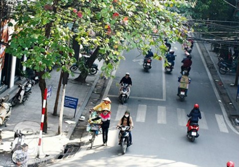 
H&igrave;nh minh họa
