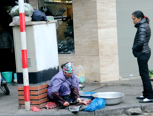 
Một người phụ nữ bán cá ngay bên bốt điện. Phía trên bốt là nơi tập kết đồ đạc, hàng hóa của cô. (Ảnh: Báo giao thông)
