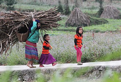 Nhiệt độ miền Bắc những ngày tới xuống thấp vào đêm và sáng sớm, còn ban ngày tăng nhẹ. Ảnh: Ngọc Thành.