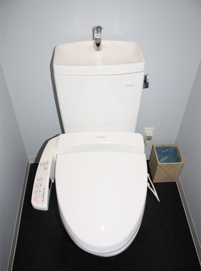 WC nhỏ nhưng rất tiện nghi và tiết kiệm nước. Ảnh: SP.