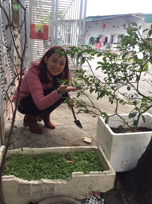 Chị Trang tâm sự, một lần, đứa con 5 tuổi của chị bị ngộ độc vì ăn phải rau có chứa nhiều dư lượng thuốc trừ sâu, từ đó, chị đã quyết tâm tự làm vườn.