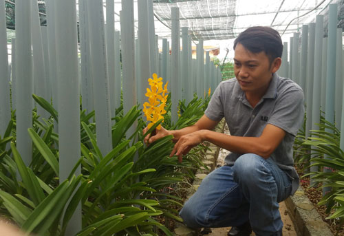 Lê Thành Anh Trung bên mô hình trồng hoa lan Mokara đem lại thu nhập hơn 25 triệu đồng/tháng. Ảnh: K.O