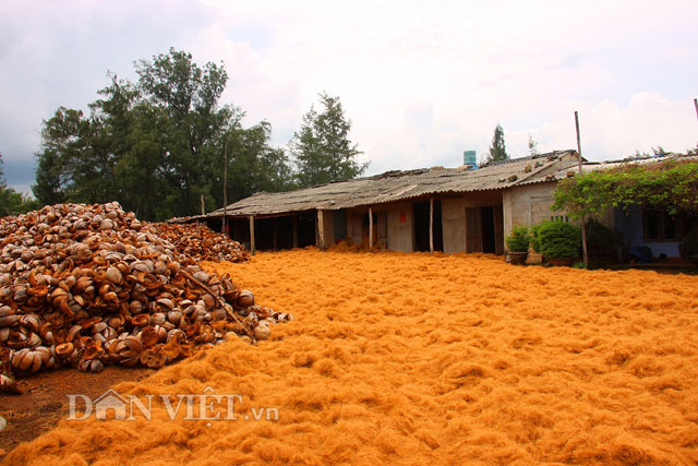 Nhiều năm qua, tại hộ của &ocirc;ng L&ecirc; Xu&acirc;n B&aacute; (SN 1957, tr&uacute; th&ocirc;n Tăng Long 2, x&atilde; Tam Quan Nam) lu&ocirc;n tất bật cảnh t&aacute;ch vỏ dừa lấy cước.