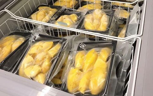 Sầu ri&ecirc;ng được t&aacute;ch m&uacute;i, đ&oacute;ng khay h&uacute;t ch&acirc;n kh&ocirc;ng rồi mới xuất khẩu.