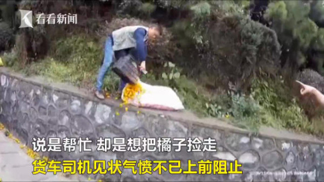 
H&igrave;nh ảnh người d&acirc;n mang bao ra h&ocirc;i cam.
