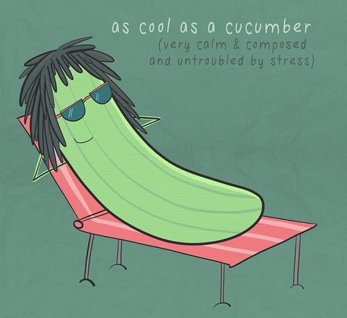
Cool as a cucumber là cách nói mô tả cảm xúc con người. Ảnh: That Sugar Film
