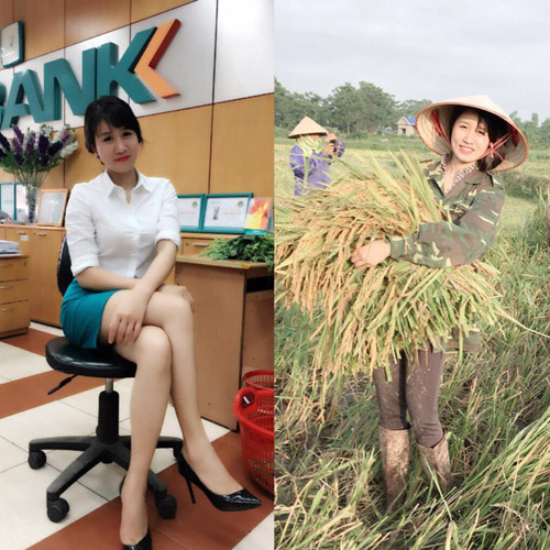 
Cô gái Thái Nguyên xinh đẹp trong bức hình gặt lúa
