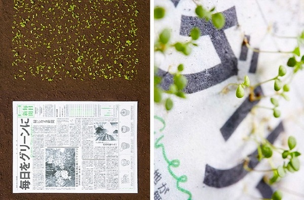 Tờ báo mọc thành cây xanh - một phát minh chỉ có thể là người Nhật. Khi bạn đọc xong một tờ báo Mainichi thì đừng vội vứt nó đi, hãy xé nhỏ tờ giấy báo và đặt nó xuống chậu đất tơi xốp, sau đó tưới lên một chút nước, chỉ vài tuần sau đó bạn sẽ thấy những mầm xanh xuất hiện.