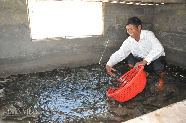 Ông Vinh chọn bắt cá cho khách đặt ở Hà Nội.