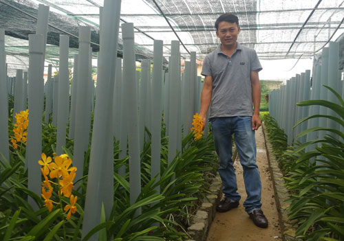 Lê Thành Anh Trung bên mô hình trồng hoa lan Mokara. Ảnh: K.O