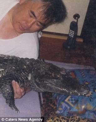 Theo Dailymail, ông mua con cá sấu từ một lễ hội động vật cách đây 34 năm và được chính quyền địa phương cho phép nuôi con vật này trong nhà.