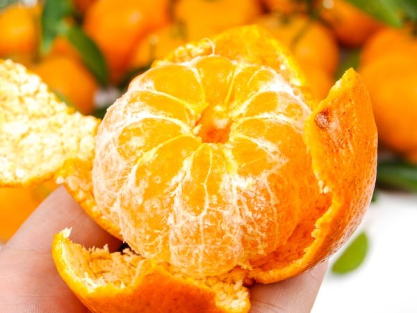 Cam: Theo Boldsky, cam rất gi&agrave;u h&agrave;m lượng axit citric, c&oacute; khả năng loại bỏ độc tố v&agrave; chất thải th&ocirc;ng qua b&agrave;i tiết, giữ cơ thể lu&ocirc;n kh&ocirc; r&aacute;o, m&aacute;t mẻ.