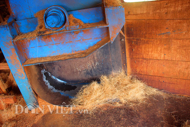 Cước được t&aacute;ch khỏi vỏ dừa từ m&aacute;y