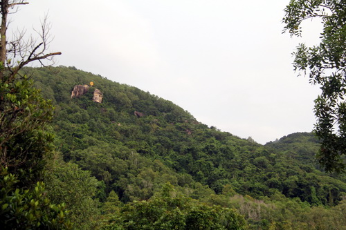 
Nơi được xem khu vực máy bay rơi được cho nằm gần ngôi chùa trên núi Dinh. Ảnh: VNE
