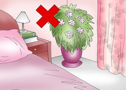 Đặt cây trong phòng: Chỉ có một số loại cây thích hợp với việc trồng trong nhà và chúng cũng cần được thay đổi thường xuyên. Nếu không thông thạo và có thời gian chăm sóc cây, bạn nên bỏ ý định đặt cây trong phòng ngủ. Bạn cũng không nên đặt các bình hoa có hương thơm ở nơi ngủ nghỉ.