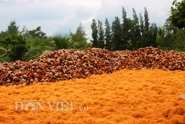 &hellip; v&agrave; được phơi kh&ocirc; chờ ng&agrave;y xuất b&aacute;n