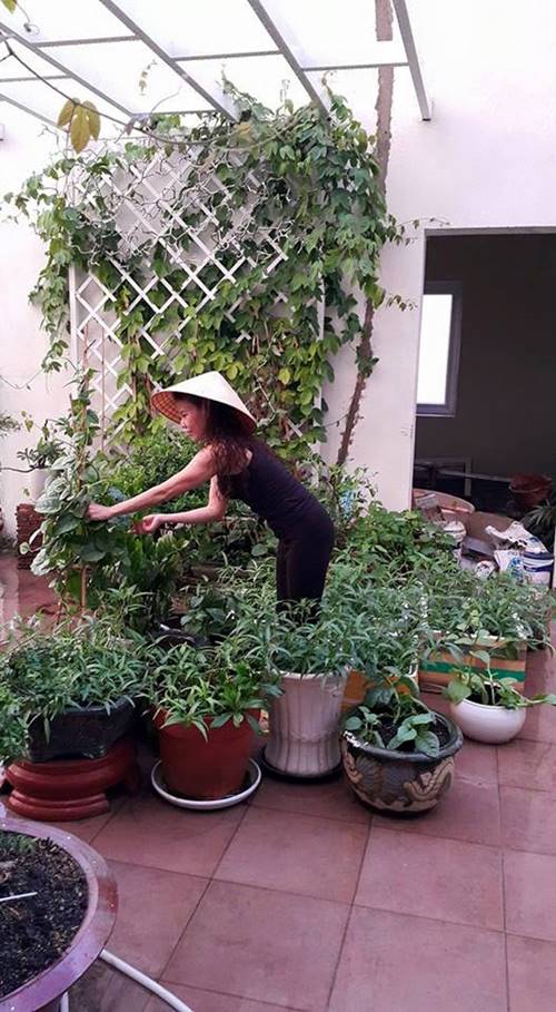 Bà Hương - mẹ Hồ Ngọc Hà, thường giúp cô chăm sóc vườn rau.