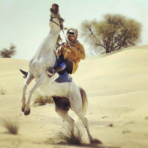 Kèm đó là niềm đam mê lớn nhất: cưỡi ngựa. Fazza từng là đại diện cho Các tiểu vương quốc Ả Rập thống nhất đi thi môn cưỡi ngựa tại nhiều sự kiện thể thao