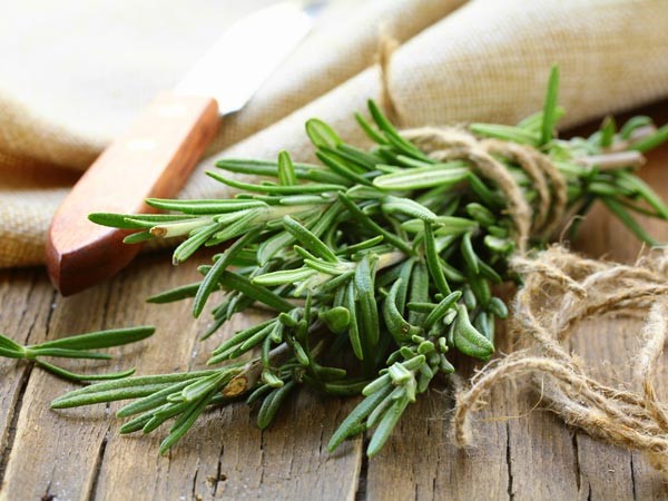 Hương thảo v&agrave; một số loại thảo mộc thơm như h&uacute;ng t&acirc;y, oải hương, bạc h&agrave; thường được sử dụng trong c&aacute;c loại tinh dầu thơm loại bỏ m&ugrave;i h&ocirc;i hiệu quả. Ch&uacute;ng c&oacute; t&aacute;c dụng l&agrave;m sạch m&aacute;u, do đ&oacute; kiểm so&aacute;t những m&ugrave;i kh&oacute; chịu của mồ h&ocirc;i.