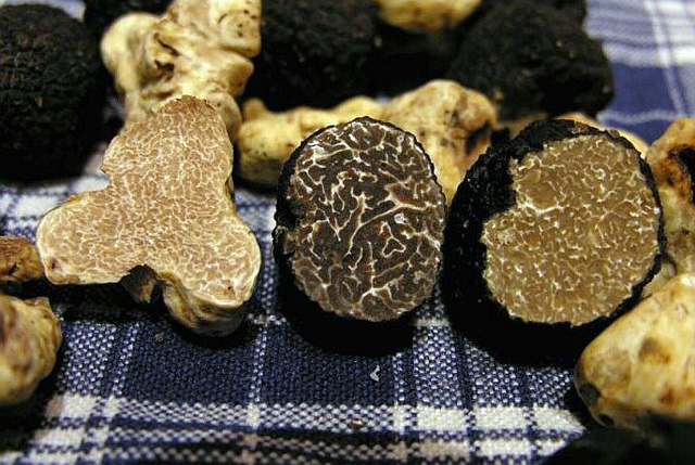 Nấm truffle có hai loại là nấm trắng và nấm đen. Trong sách kỷ lục Guinness thì nấm truffle lớn nhất được tìm thấy từ trước tới giờ là một cục nấm trắng; nấm trắng cũng đắt hơn đen.