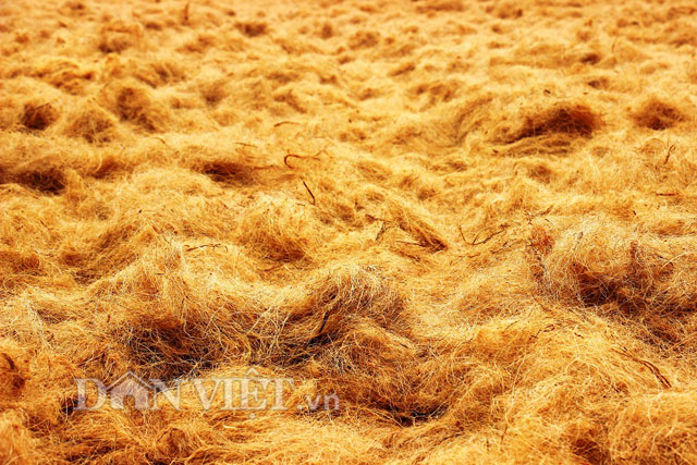 Mỗi th&aacute;ng, &ocirc;ng B&aacute; b&aacute;n ra thị trường khoảng 30 tấn cước, thu về &iacute;t nhất 90 triệu đồng/th&aacute;ng.