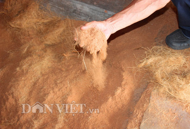 Sau khi lấy cước, m&ugrave;n c&aacute;m dừa từ vỏ cũng được tận dụng để b&oacute;n c&acirc;y cảnh, trồng rau sạch&hellip;. M&ugrave;n c&aacute;m dừa b&aacute;n ra với gi&aacute; 12.000 đồng/bao (5kg) để cải tạo đất trồng.