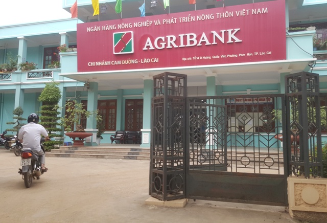 
Ngân hàng Agribank - Chi nhánh Cam Đường (Lào Cai). Ảnh: Cao Tuân
