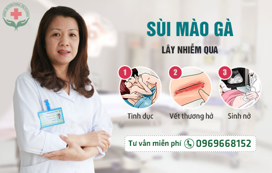 
Con đường nhiễm bệnh sùi mào gà khá đa dạng
