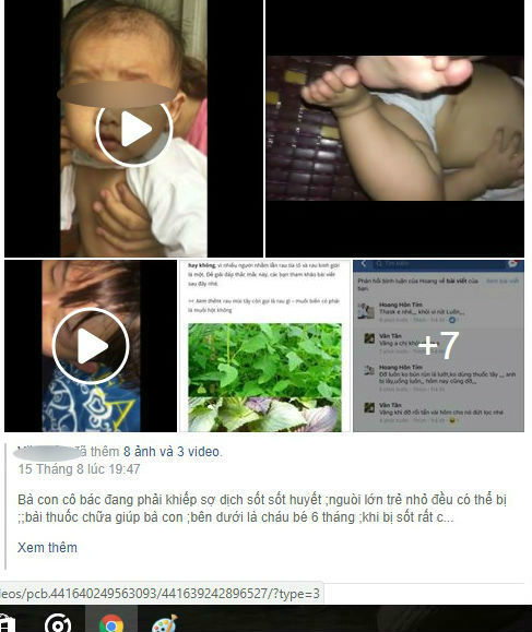 Chủ tài khoản facebook bày cách chữa sốt xuất huyết bằng tía tô canh giới. Ảnh internet