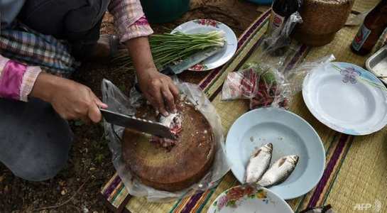 
Món ăn truyền thống nổi tiếng koi pla làm từ cá sống bằm nhỏ, ớt và chanh lại chính là nguyên nhân gây ung thư gan giết chết gần 20 ngàn người Thái mỗi năm.
