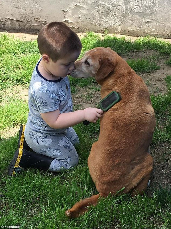 
Cậu b&eacute; đ&aacute;ng y&ecirc;u đ&atilde; bị giết chết sau chuyến đi c&ocirc;ng vi&ecirc;n.
