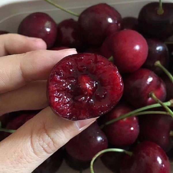Khi ăn quả cherry nhất thiết phải bỏ hạt tránh ảnh hưởng sức khỏe. Ảnh: T.G