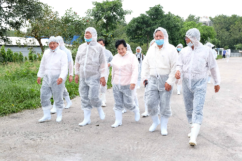 
Bà Phạm Thị Huân đón tiếp lãnh đạo TP HCM xuống thăm khu liên hợp chăn nuôi ở Bình Dương.
