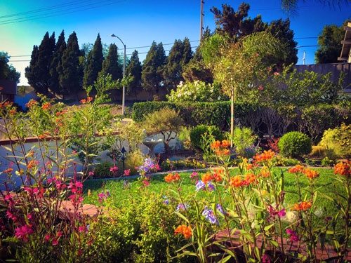 Sân vườn nhiều hoa và cây cảnh trong căn biệt thự tại Mỹ của nữ MC Kỳ Duyên.