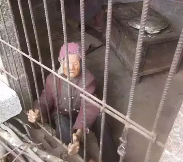 
Mẹ già bị ép ở trong chuồng heo.
