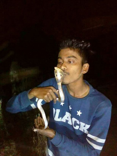 
Somnath không ngờ mình bị con rắn hổ mang quay ra cắn khi anh đang trao cho nó nụ hôn lên đầu. Ảnh: SWNS
