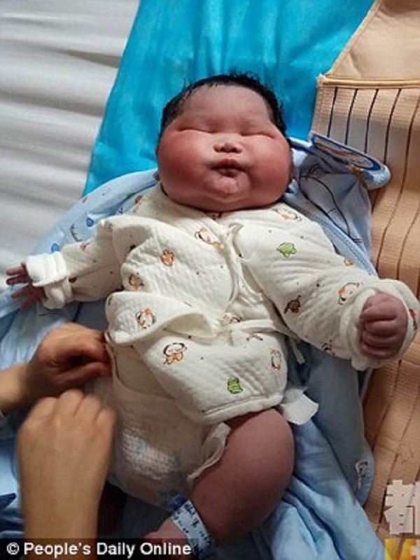 
Bé Kang Kang vừa ra đời đã nặng 6,7kg.
