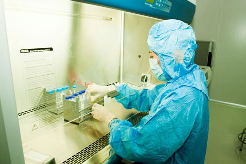 Chiết tách tế bào gốc tại Bệnh viện Đa khoa Vạn Hạnh Ảnh: KIM DUNG