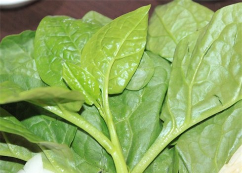
Mồng tơi là loại rau phổ biến, được sử dụng để chế biến trong bữa ăn hàng ngày.
