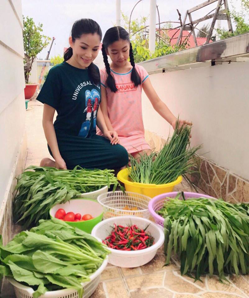 Vừa muốn có thực phẩm sạch cho gia đình, lại muốn dạy các con yêu lao động, chị Dạ Thảo gây dựng vườn rau các loại trên sân thượng biệt thự trắng của gia đình.