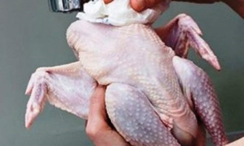 Nam thanh ni&ecirc;n đối diện &aacute;n t&ugrave; v&igrave; cướp một con g&agrave;. Ảnh minh họa.