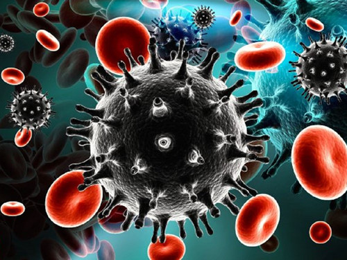 
Virus HIV trong máu người nhiễm Ảnh: Shutterstock

