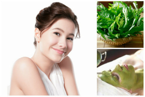 
Mặt nạ ngải cứu không chỉ giúp da trắng sáng mịn màng mà còn giúp chị em tẩy tế bào chết, trị nám da hiệu quả và hỗ trợ se khít lỗ chân lông.
