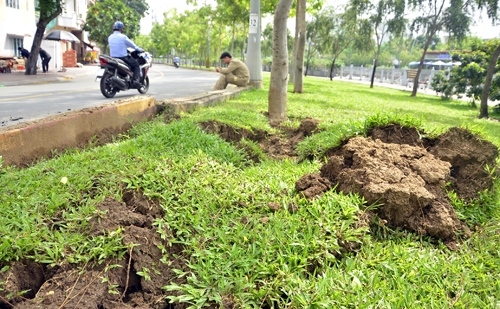 Đất quanh hố ga bị xới l&ecirc;n. Ảnh: Tin Tin