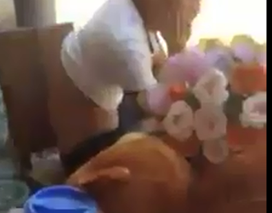 Ảnh cắt từ clip