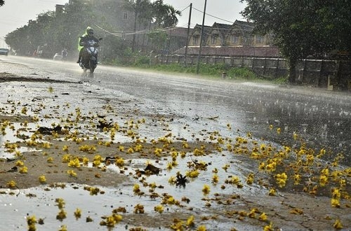 Cơn mưa rào kéo dài 20 phút ở Phúc Thọ chiều qua. Ảnh: Đoàn Tuấn.