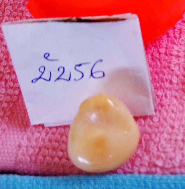 Vật rắn được cho l&agrave; loại ngọc ốc m&agrave; tiệm v&agrave;ng c&acirc;n trọng lượng hơn 2 chỉ.