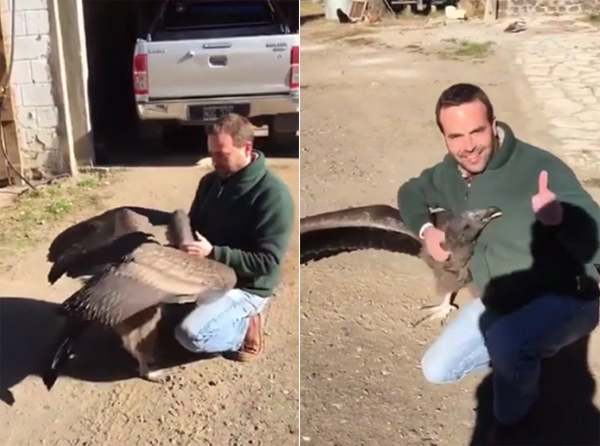 
Người đ&agrave;n &ocirc;ng đặt t&ecirc;n cho con chim l&agrave; Loco v&agrave; vuốt ve, &acirc;u yếu như th&uacute; cưng.
