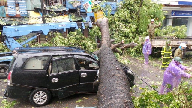 &Ocirc;ng Vũ Ki&ecirc;n Trung cho biết, khi c&oacute; hiện tượng mưa gi&ocirc;ng người d&acirc;n cần hạn chế di chuyển ra đường.