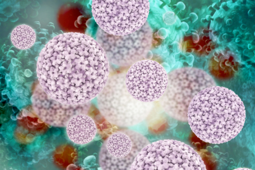 
70% ung thư khoang miệng có sự hiện diện của HPV. Ảnh minh họa: cdn
